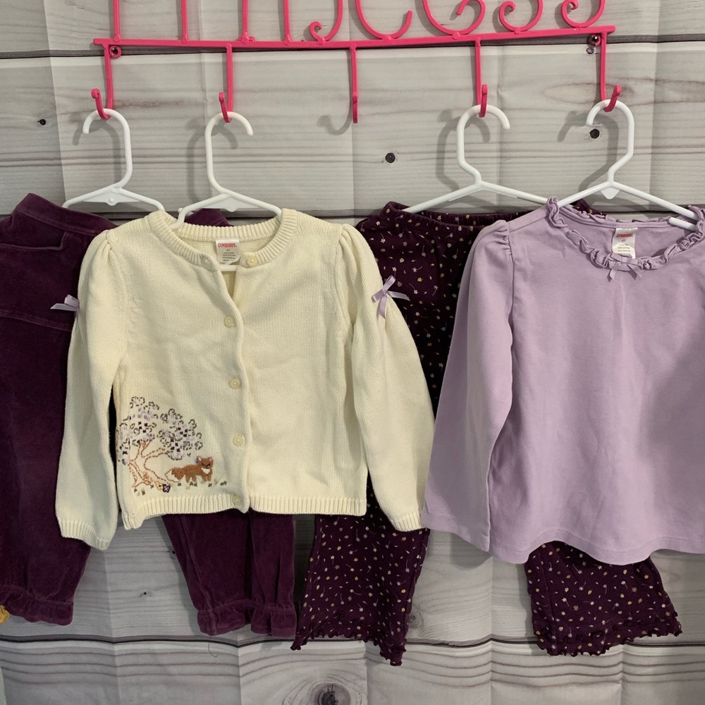 Gymboree 🦊 fox forest friends pants & sweater top